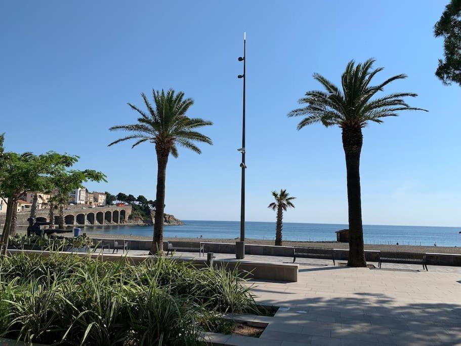 Superbe Appt vue mer climatisé Banyuls-sur-Mer Extérieur photo